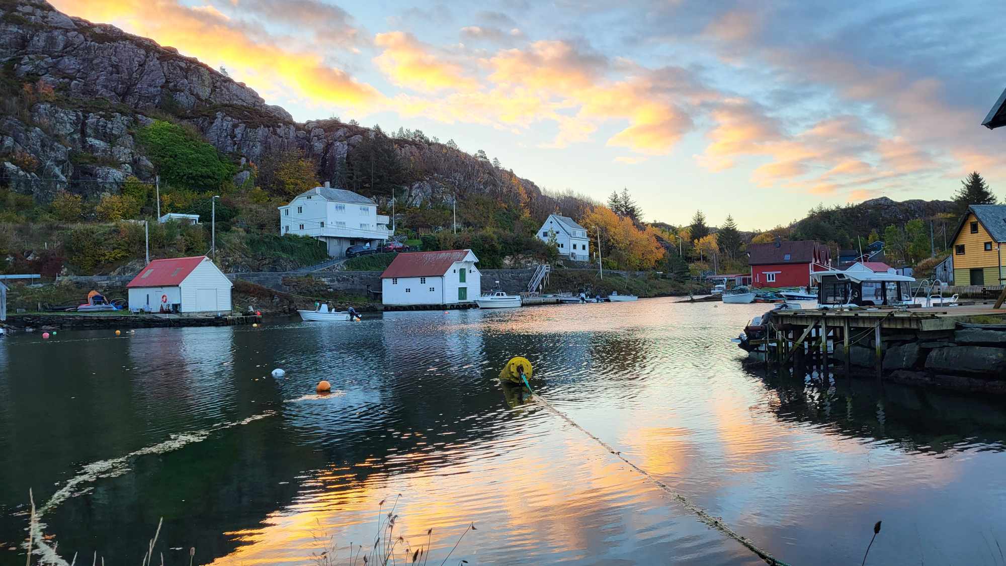 Bilde av Vika